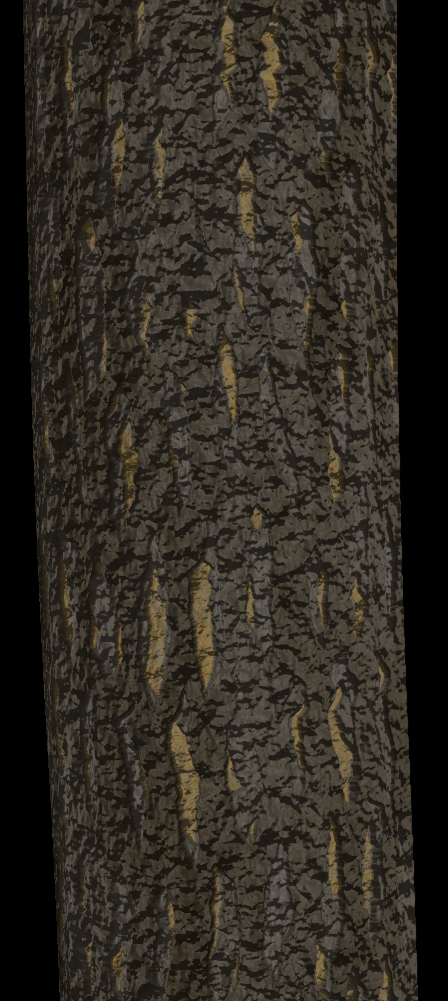 Interlacing Ridges