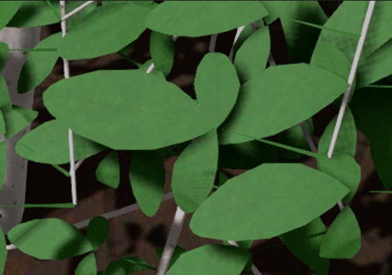 Three Leaflets