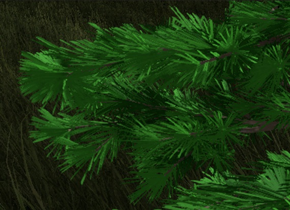 Whorled Needles