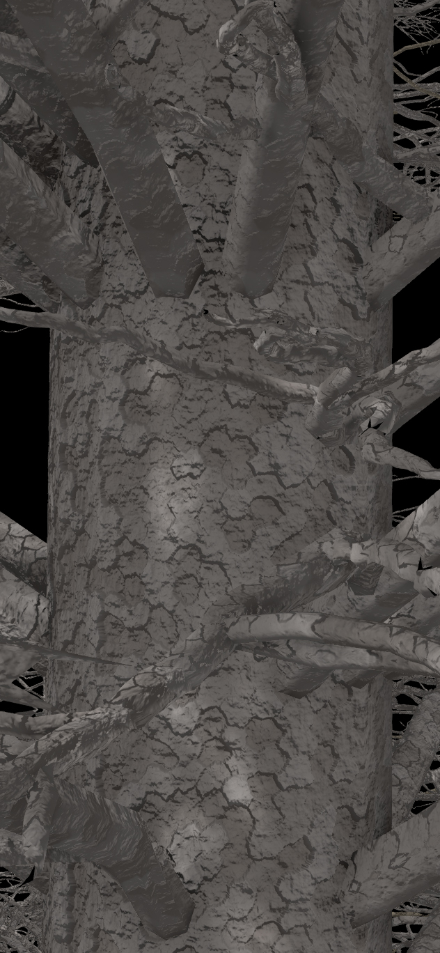 Alpine Fir Bark
