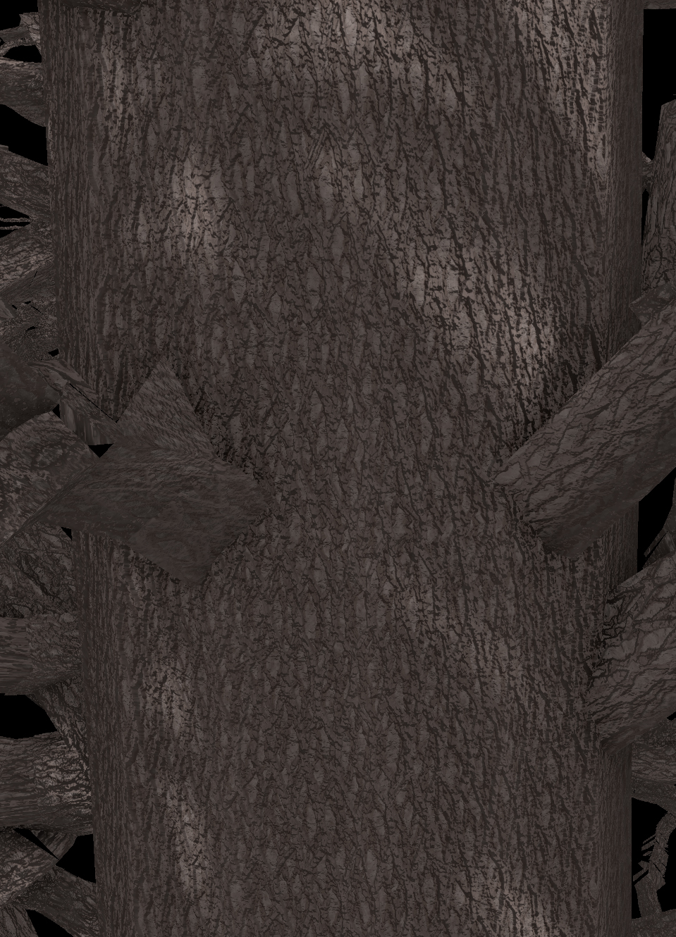 American Elm Bark