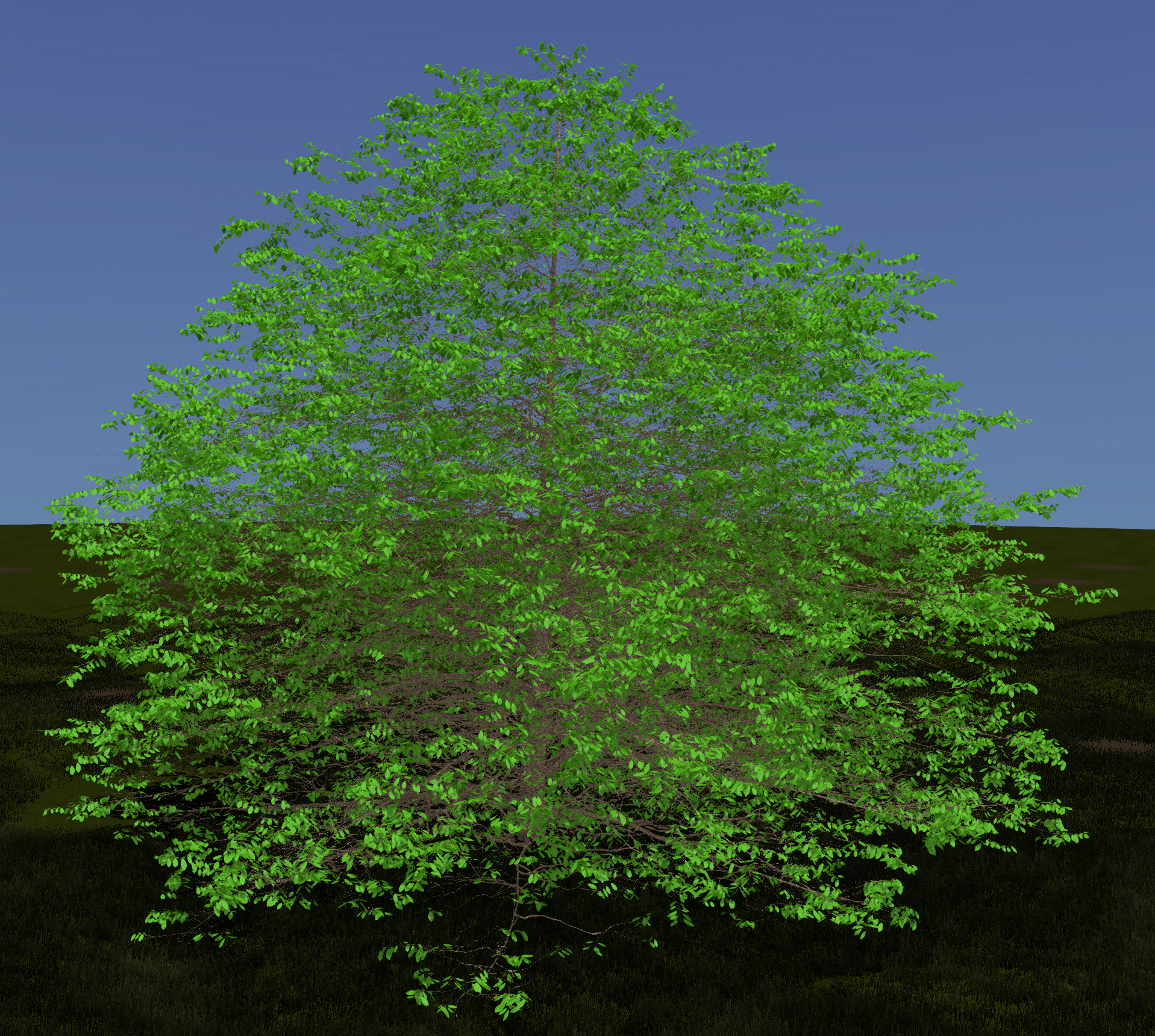 American Plum