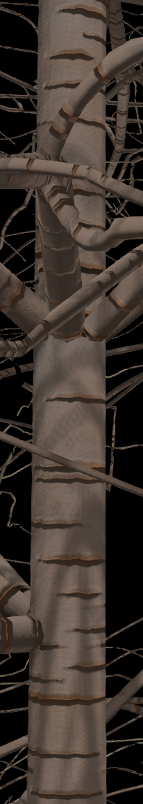 Bebb Willow Bark