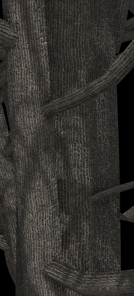 Black Maple Bark