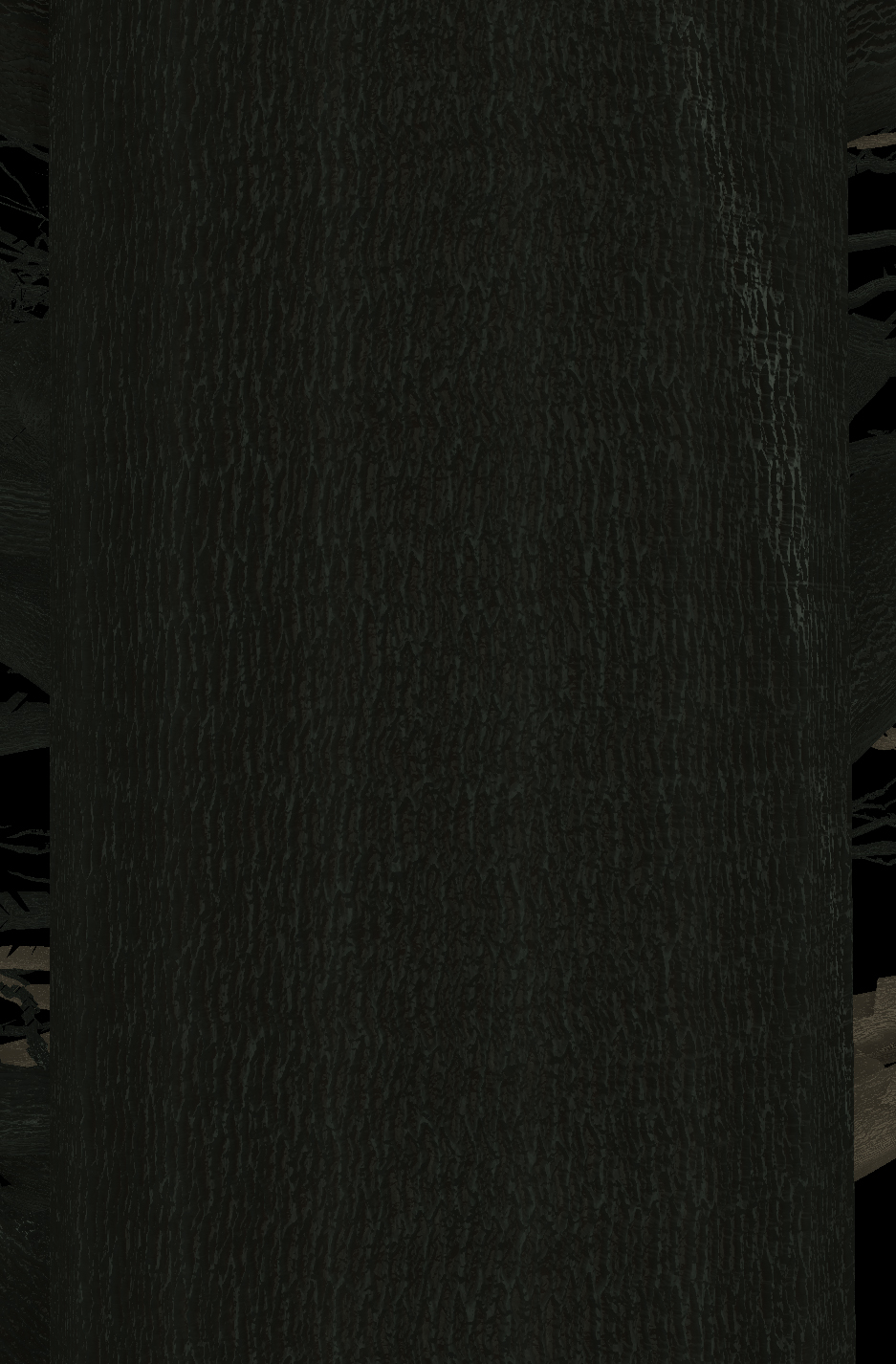 Black Walnut Bark