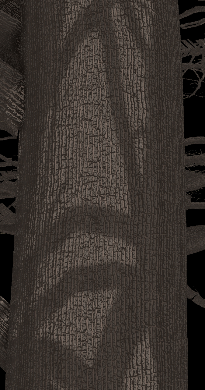 Bur Oak Bark