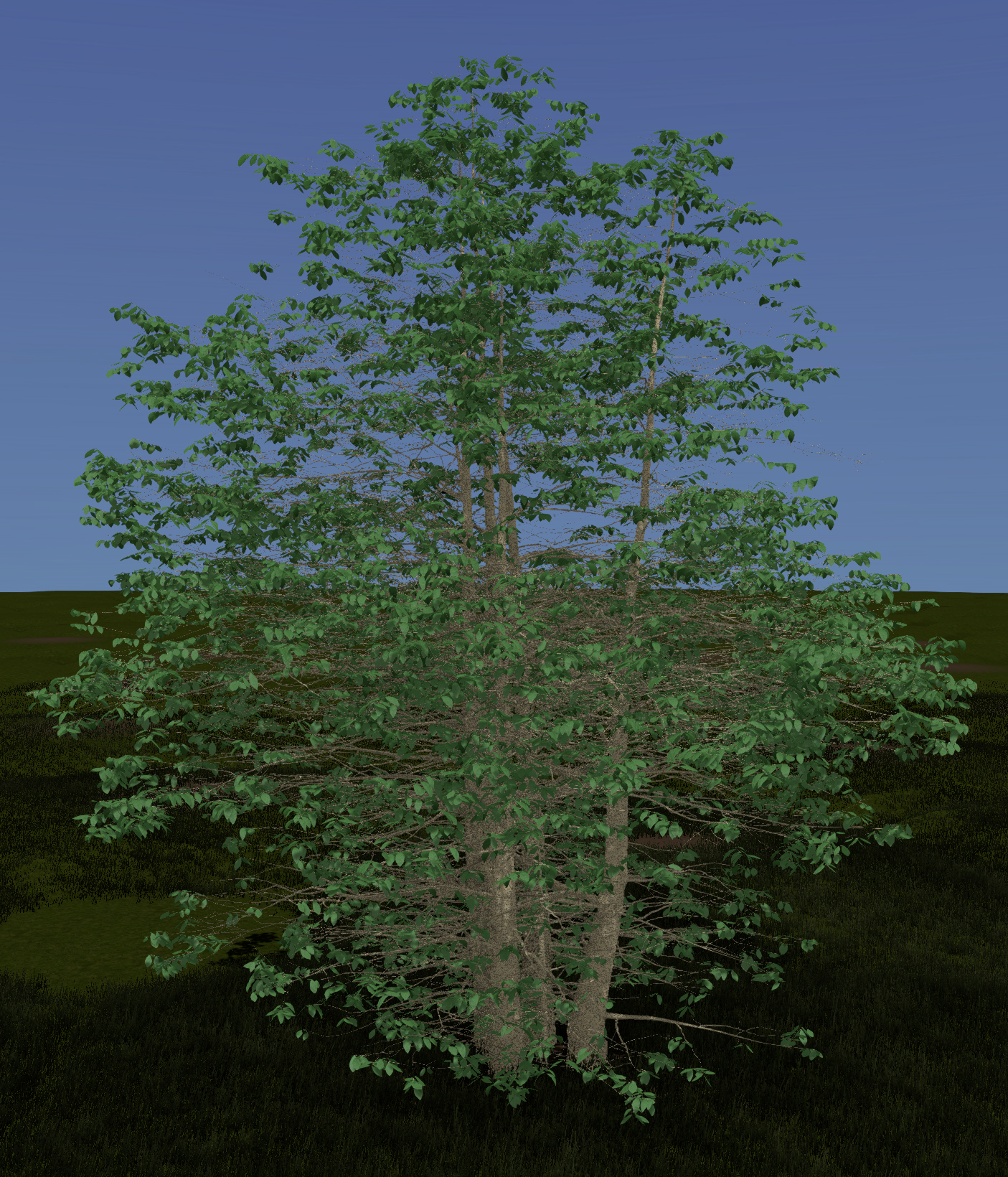 Cockspur Hawthorn
