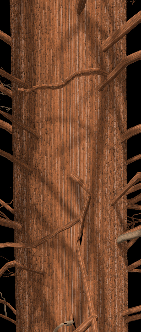 Dawn Redwood Bark
