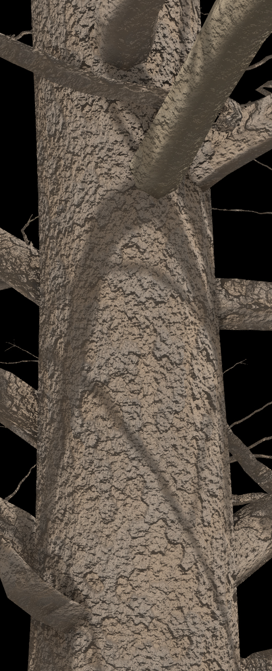 Downy Hawthorn Bark