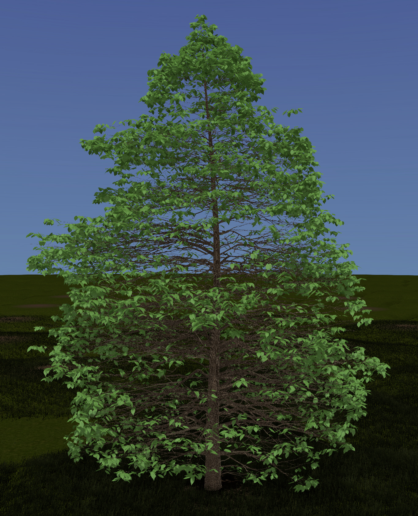 Eastern Hophornbeam