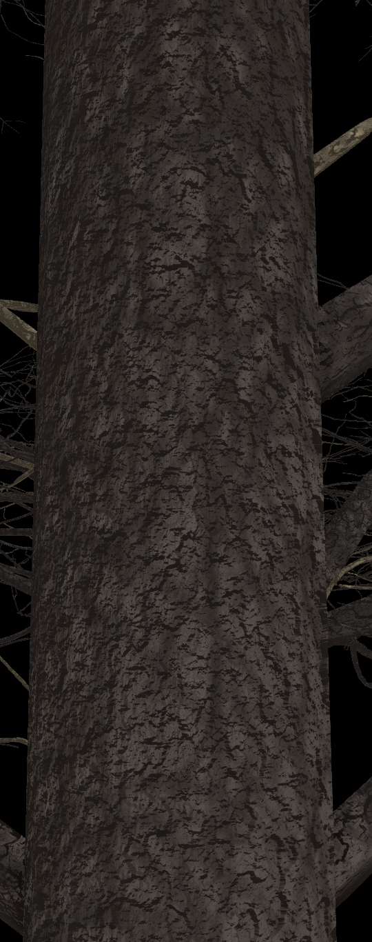 Jack Pine Bark