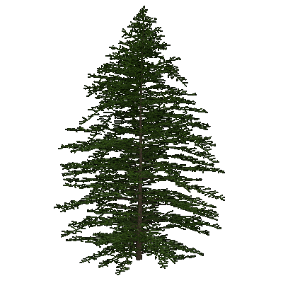 Monkey Puzzle