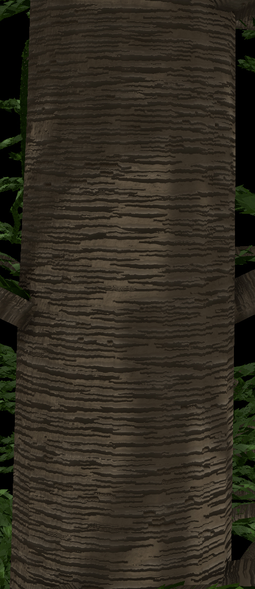 Monkey Puzzle Bark