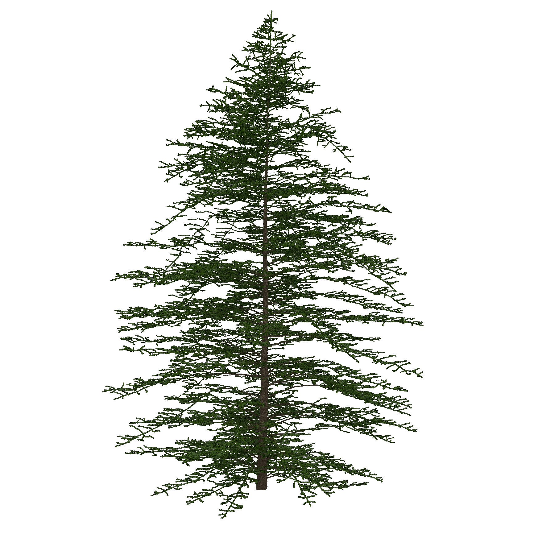 Monkey Puzzle
