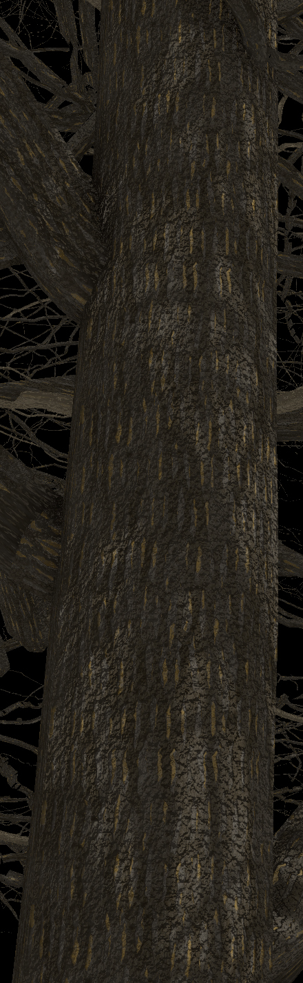 Pecan Bark