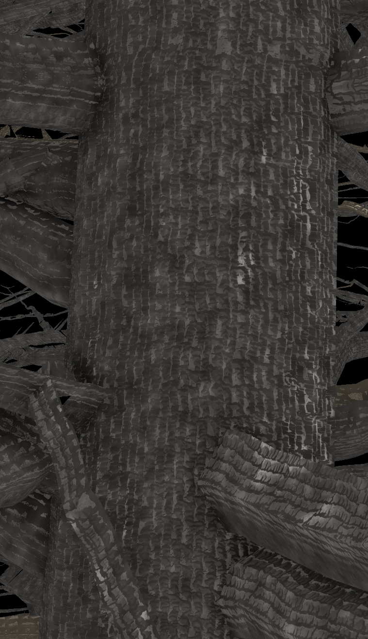 Persimmon Bark