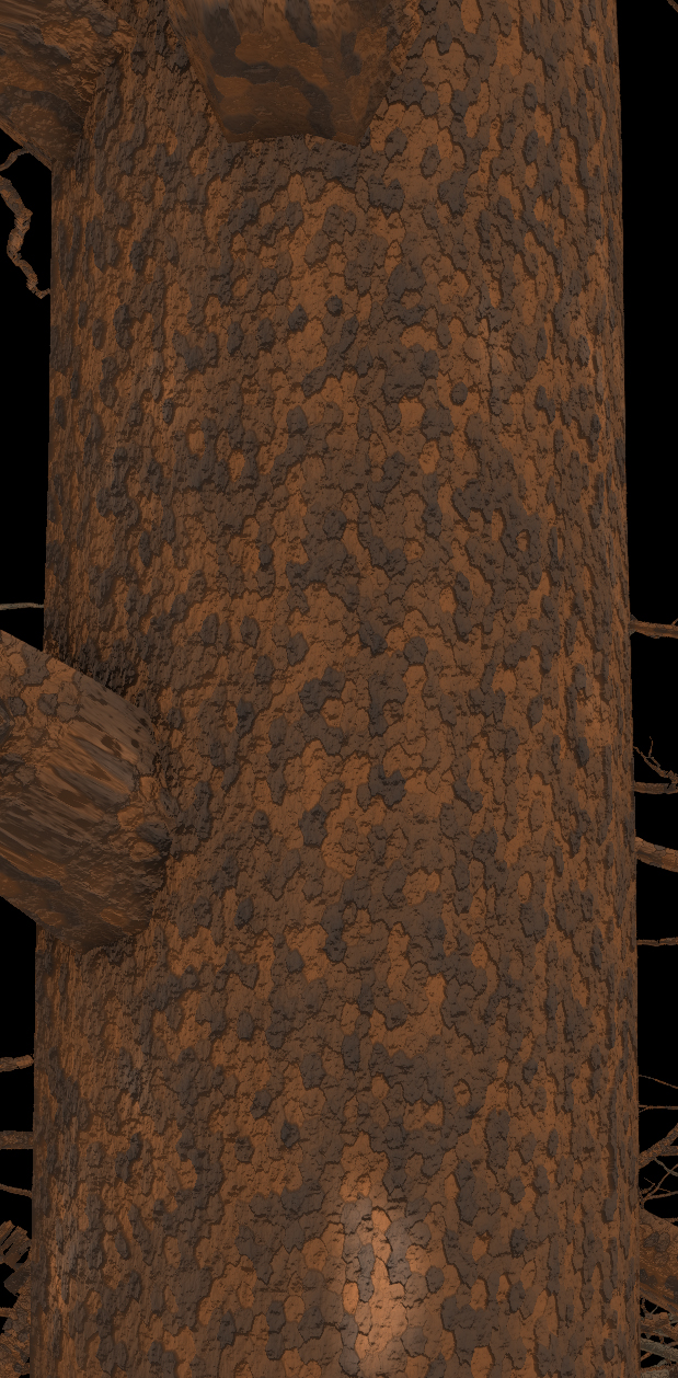Ponderosa Pine Bark