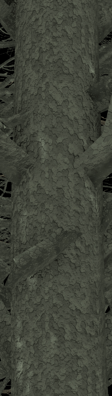 Post Oak Bark