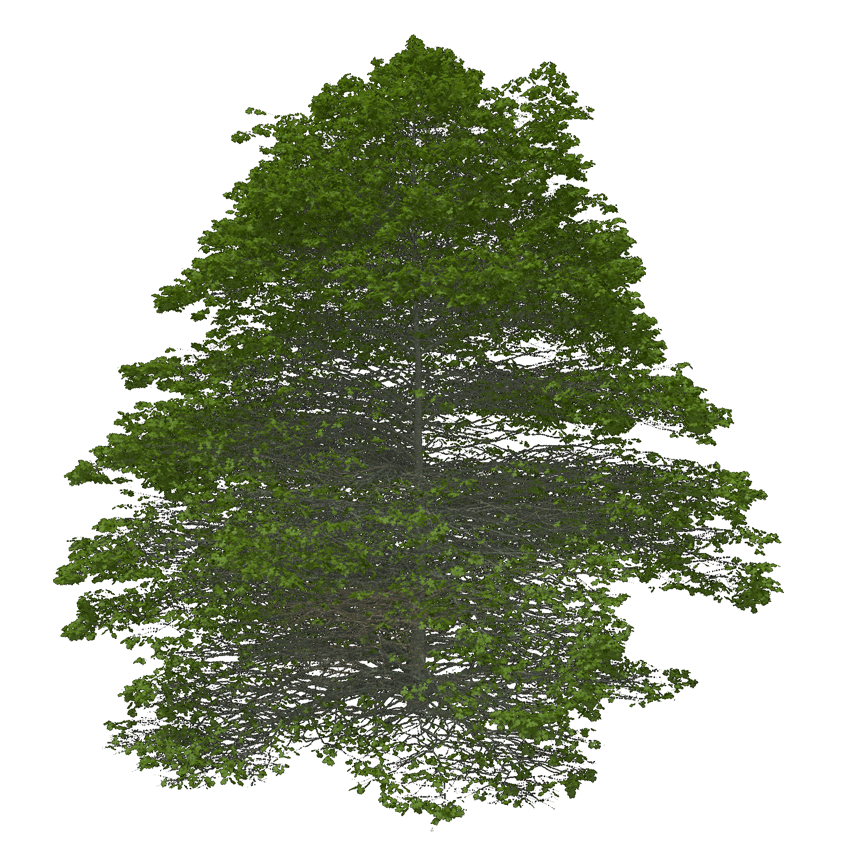 Post Oak