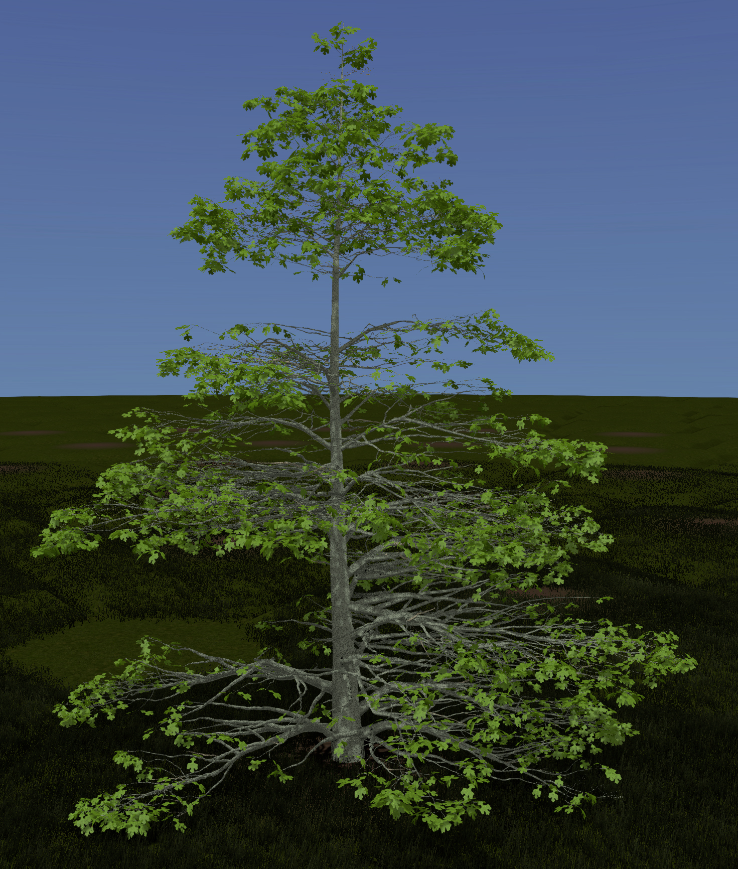 Post Oak