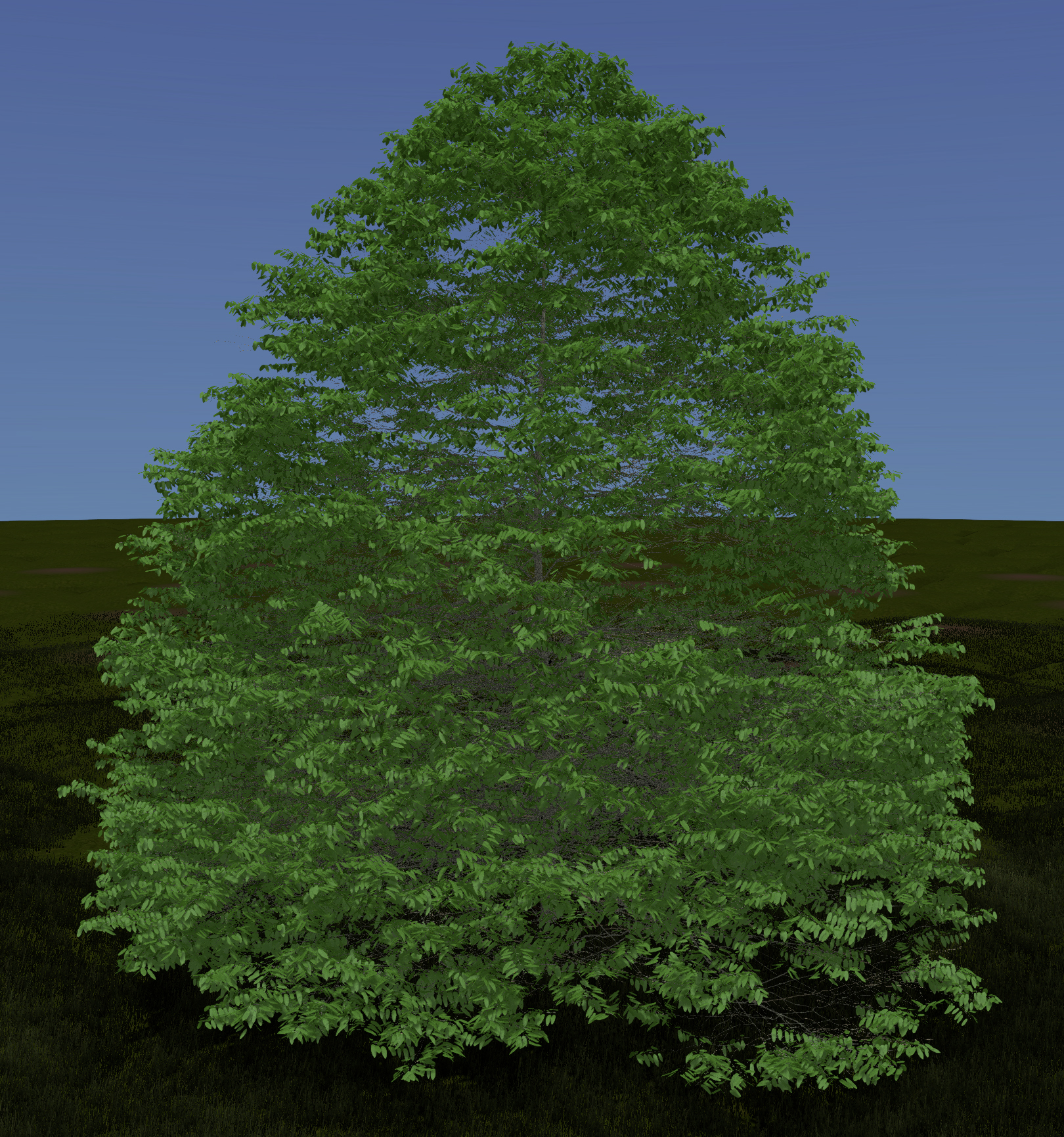 Prairie Crabapple