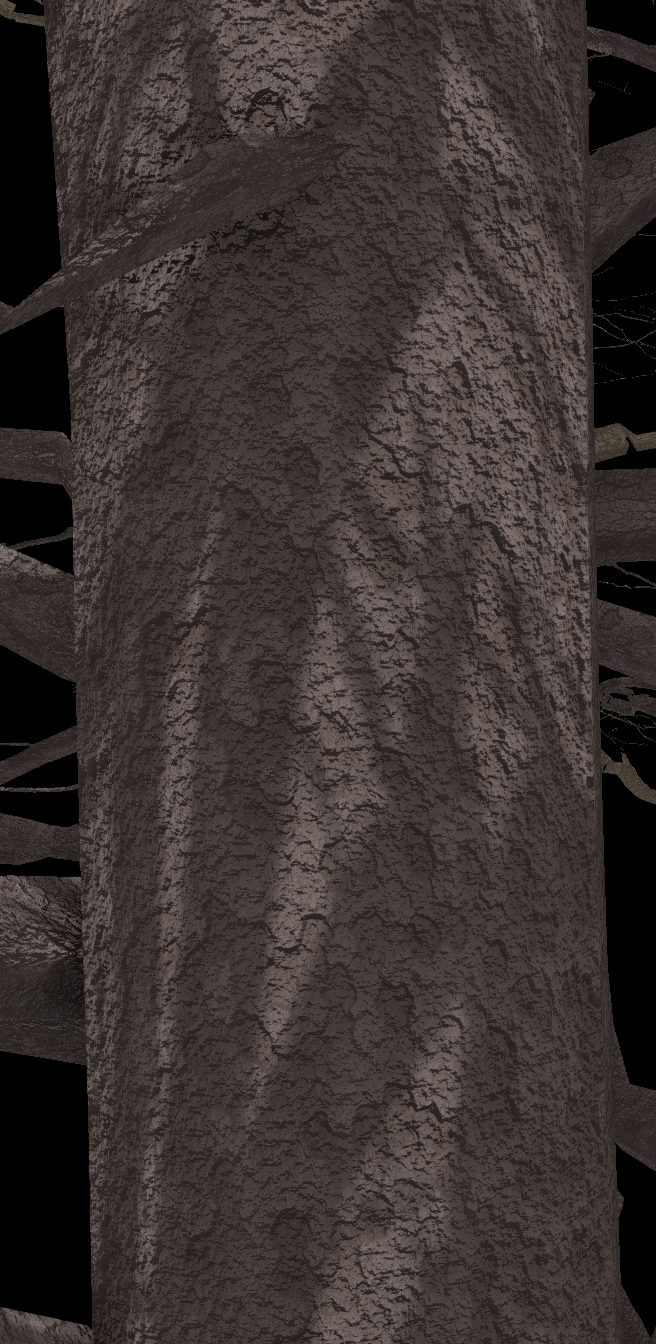 Red Maple Bark