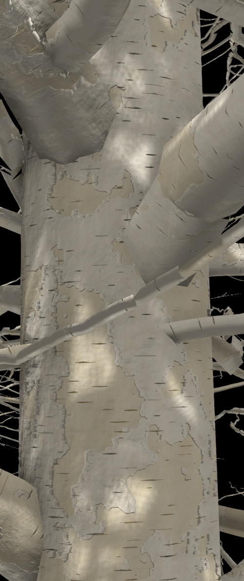 River Birch Bark