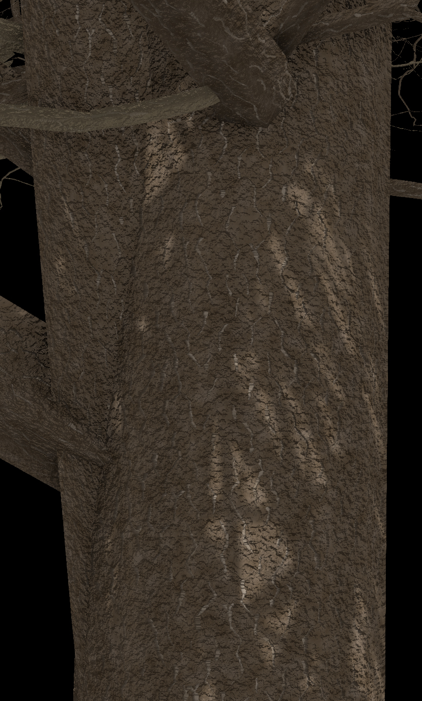 Silver Maple Bark