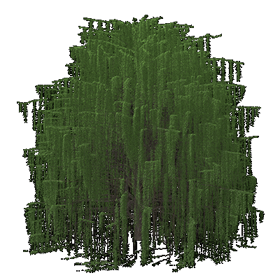 Weeping Willow